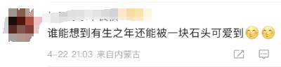 几百年前小猫留下的痕迹曝光！网友：有生之年被一块石头萌到了