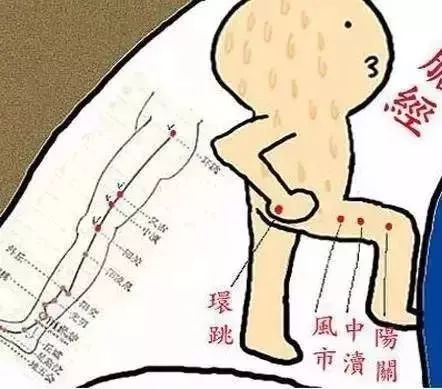 每天敲50下,敲掉白发!敲掉脂肪! 每天敲50下,敲掉白发!敲掉脂肪!