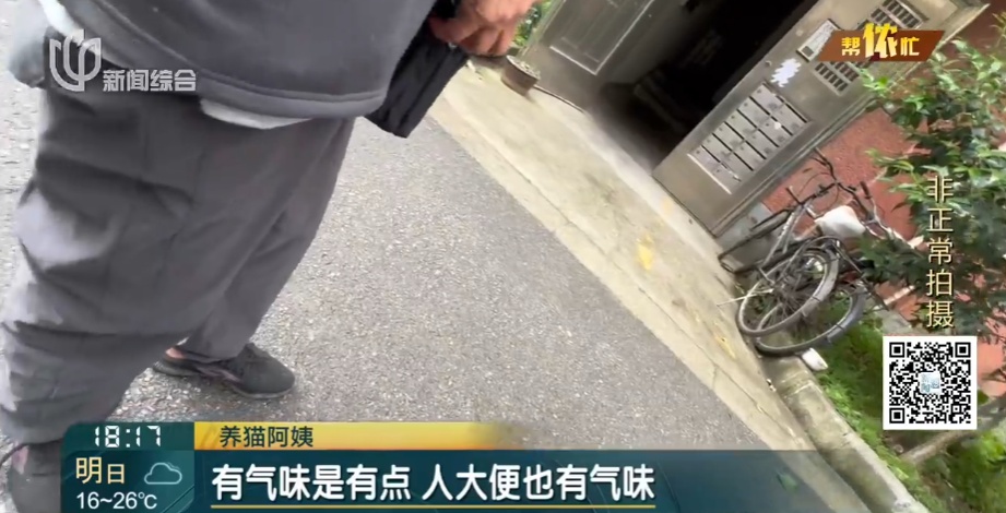 上海阿姨把自己房子让给了流浪猫，自己却租房住楼下？邻居苦透：太臭了！