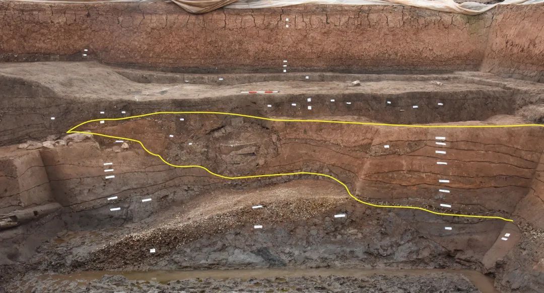 2024年度全国十大考古新发现，甘肃一遗址入选→