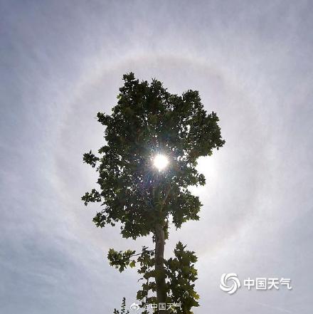 河北巨鹿县出现日晕景观 &nbsp;震撼十足