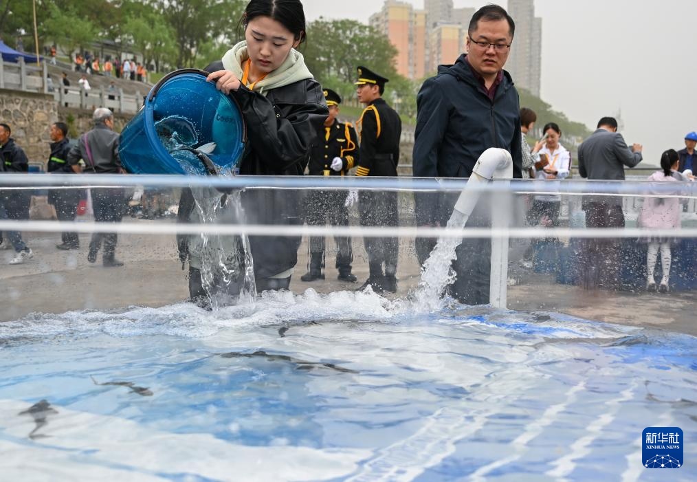 水中精灵的守护者 水中精灵的守护者