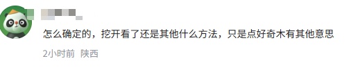 确定是狄仁杰墓？当地回应！网友问元芳怎么看……