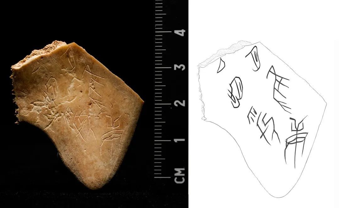 2024年度全国十大考古新发现揭晓!陕西周原遗址入选! 2024年度全国十大考古新发现揭晓!陕西周原遗址入选!