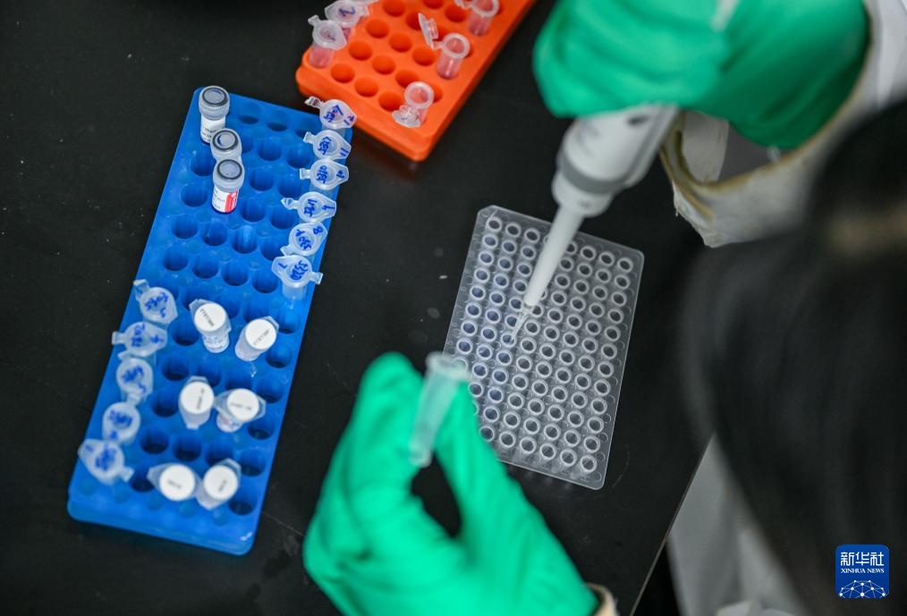 水中精灵的守护者 水中精灵的守护者