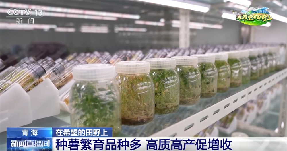 机械化、数字育秧、产业延伸 科技助力为农业生产装上了“智慧大脑” 机械化、数字育秧、产业延伸 科技助力为农业生产装上了“智慧大脑”