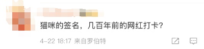 几百年前小猫留下的痕迹曝光！网友：有生之年被一块石头萌到了