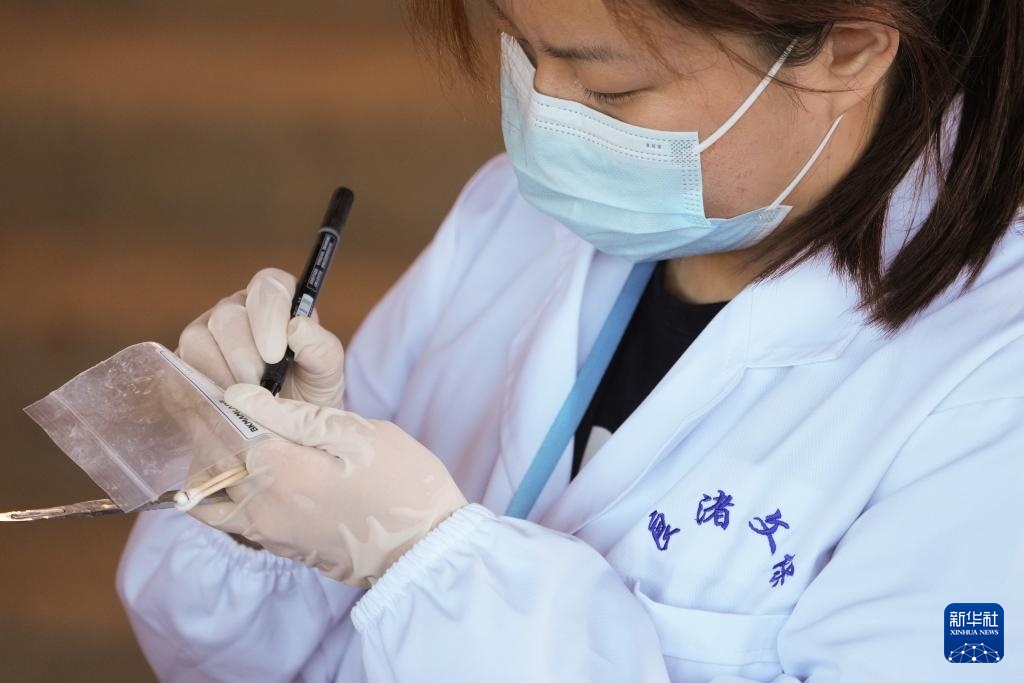 智绘中国·世遗镜鉴｜良渚遗址：科技照亮文明之光