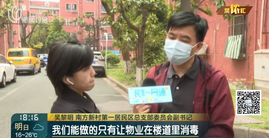 上海阿姨把自己房子让给了流浪猫，自己却租房住楼下？邻居苦透：太臭了！