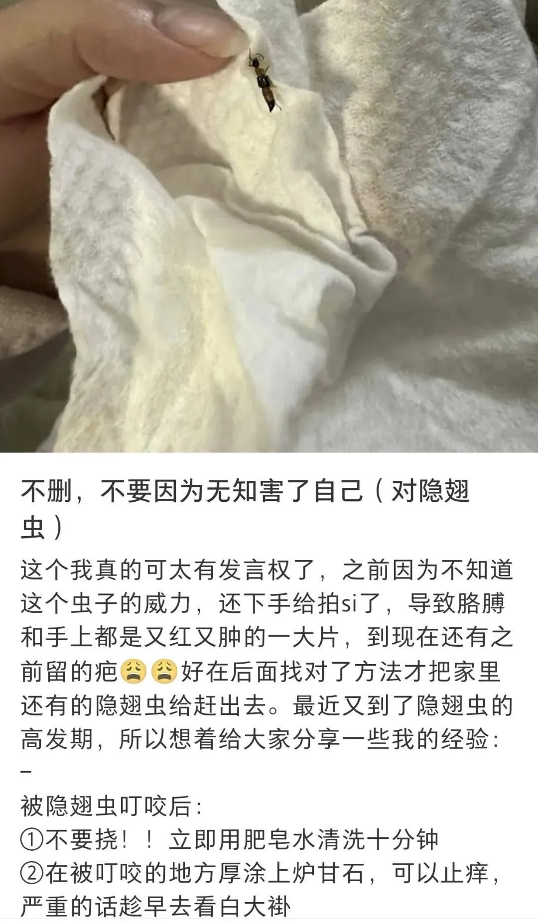 毒液堪比硫酸！一地确诊200多例，有人差点毁容，提醒：不要拍