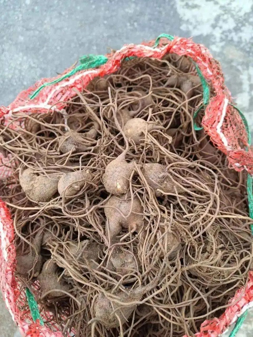 口服0.2mg即可引发中毒，广东街坊要慎重