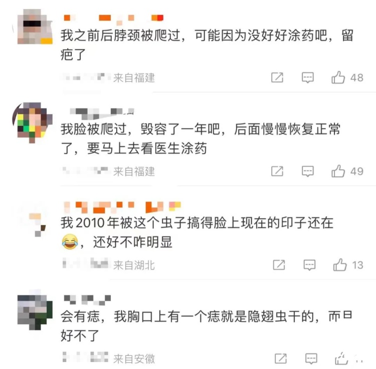 毒液堪比硫酸！最近多人“中招”，千万别拍打！