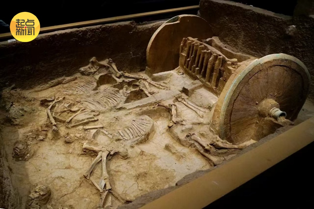 陕西这一遗址入选！2024年度全国十大考古新发现公布