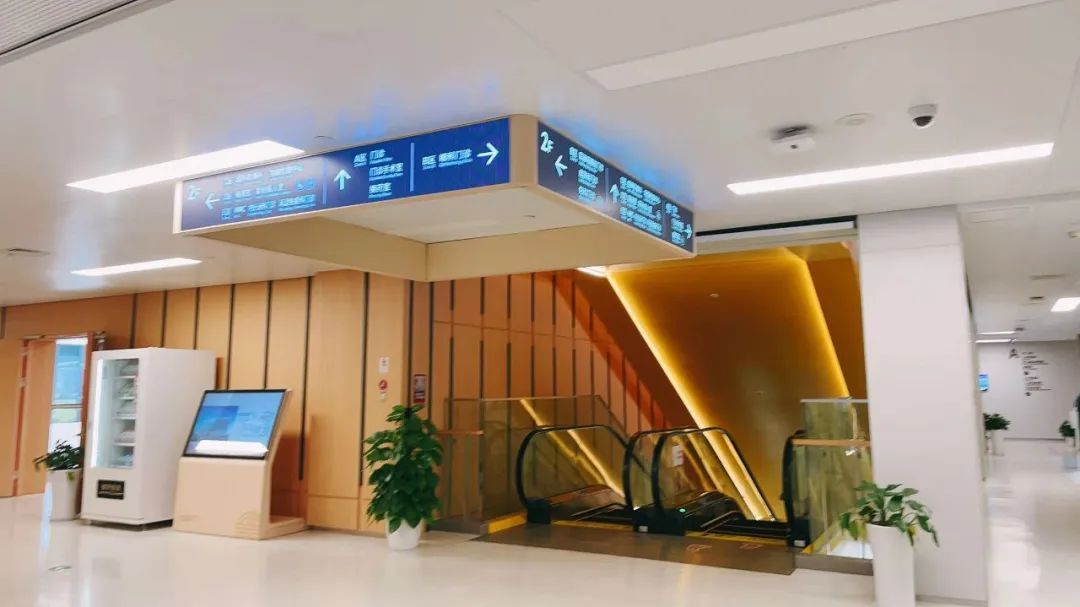 严重可致死！女子溜娃回来高烧不退，硬扛十多天 医生紧急提醒