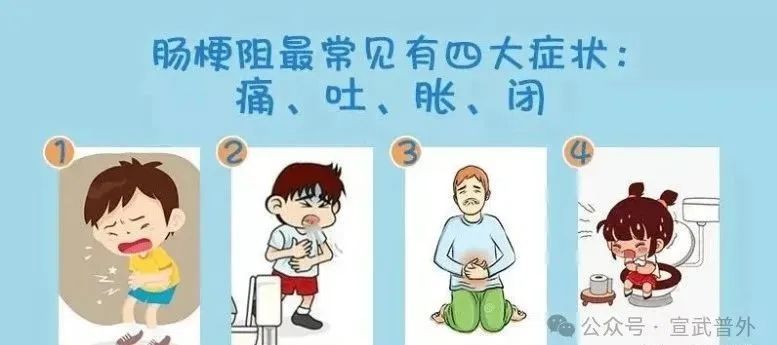 老人谨防食物引起肠梗阻