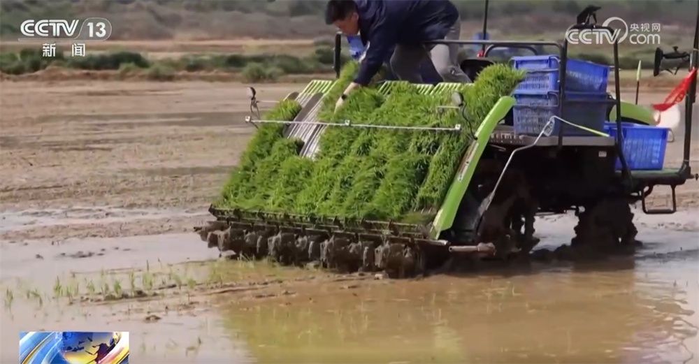 机械化、数字育秧、产业延伸 科技助力为农业生产装上了“智慧大脑” 机械化、数字育秧、产业延伸 科技助力为农业生产装上了“智慧大脑”