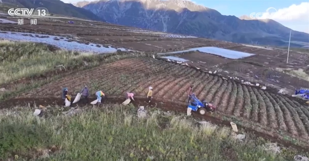 机械化、数字育秧、产业延伸 科技助力为农业生产装上了“智慧大脑” 机械化、数字育秧、产业延伸 科技助力为农业生产装上了“智慧大脑”