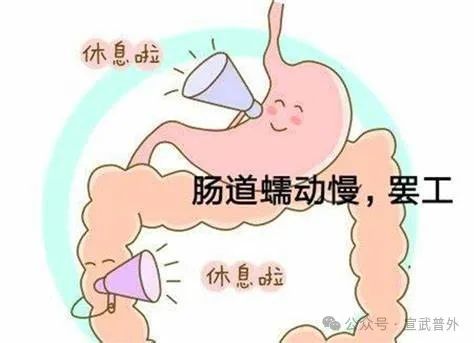 老人谨防食物引起肠梗阻