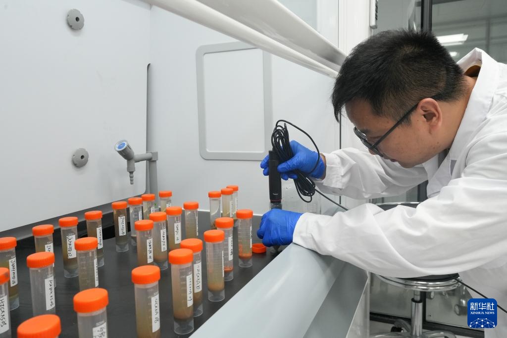 智绘中国·世遗镜鉴｜良渚遗址：科技照亮文明之光