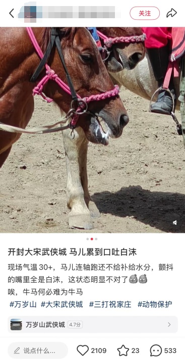 网友称河南一景区马儿“口吐白沫”，官方回应