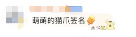 几百年前小猫留下的痕迹曝光！网友：有生之年被一块石头萌到了