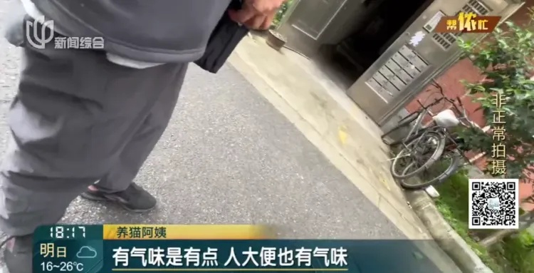 阿姨为猫让房，自己却租房住楼下？邻居苦透：太臭了！