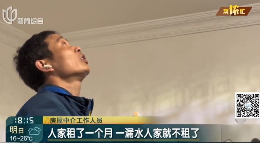 上海阿姨把自己房子让给了流浪猫，自己却租房住楼下？邻居苦透：太臭了！