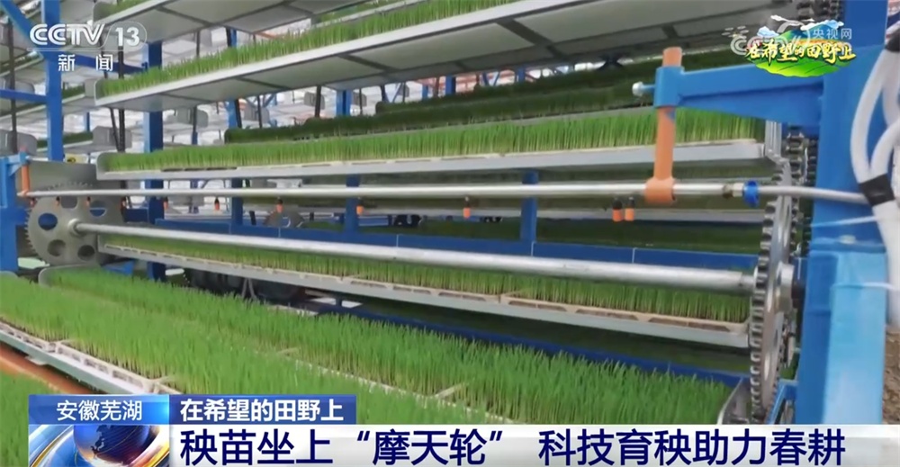 机械化、数字育秧、产业延伸 科技助力为农业生产装上了“智慧大脑” 机械化、数字育秧、产业延伸 科技助力为农业生产装上了“智慧大脑”