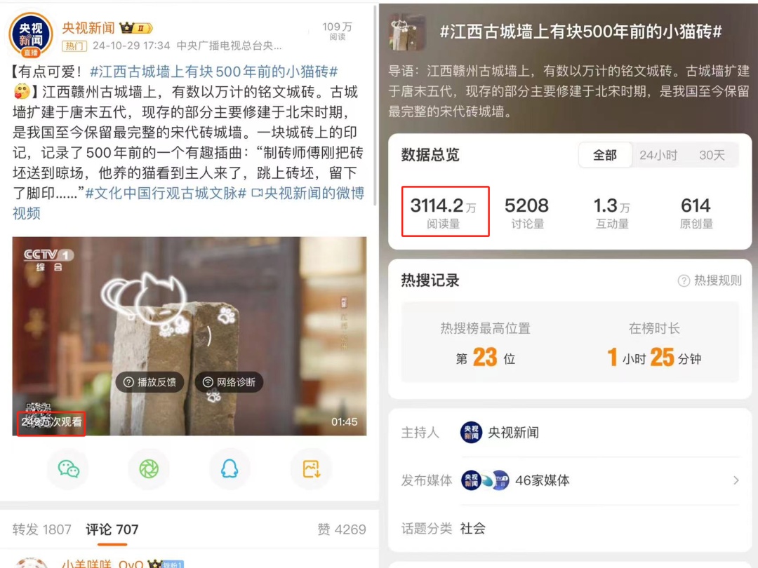 几百年前小猫留下的痕迹曝光！网友：有生之年被一块石头萌到了