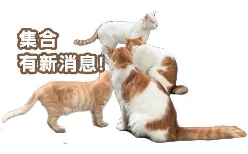 即将在年内开通！进度超九成！广州地铁十二号线有新进展！