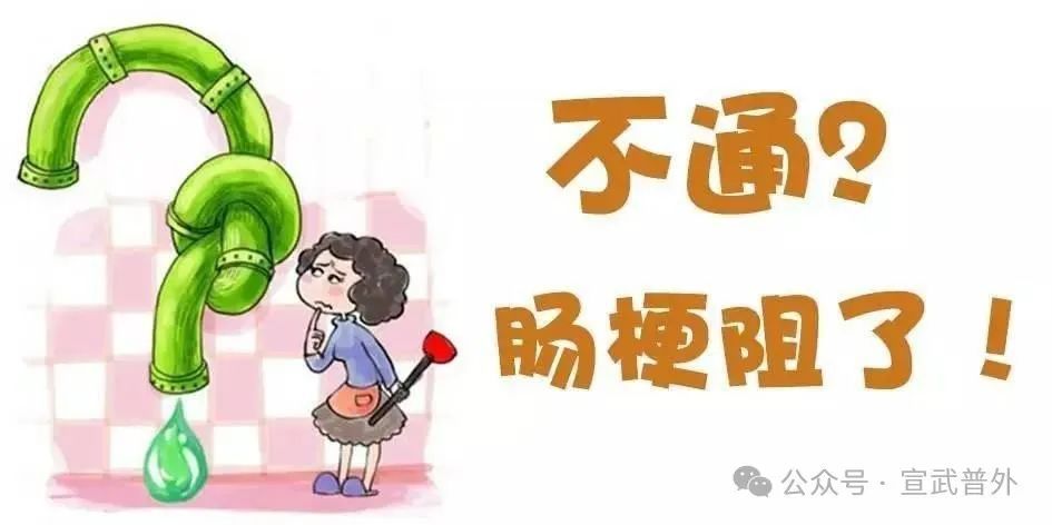 老人谨防食物引起肠梗阻