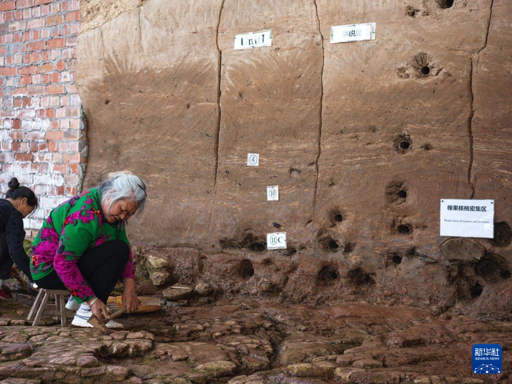 走近四川资阳濛溪河遗址群 走近四川资阳濛溪河遗址群