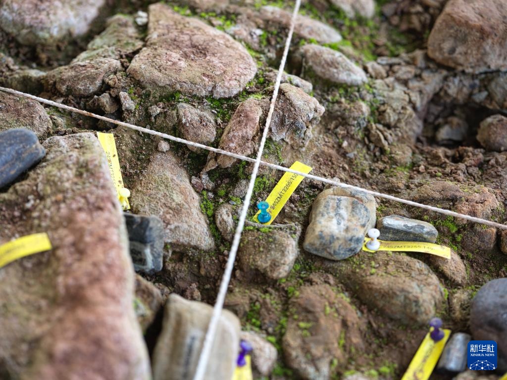 走近四川资阳濛溪河遗址群 走近四川资阳濛溪河遗址群