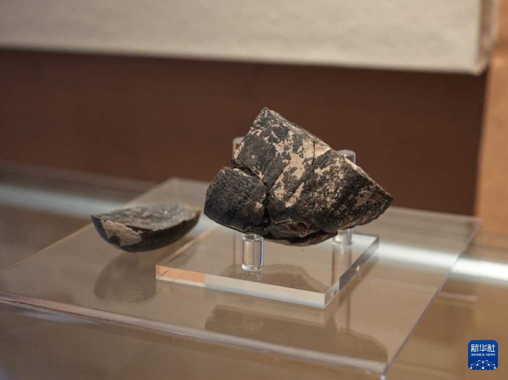 走近四川资阳濛溪河遗址群 走近四川资阳濛溪河遗址群