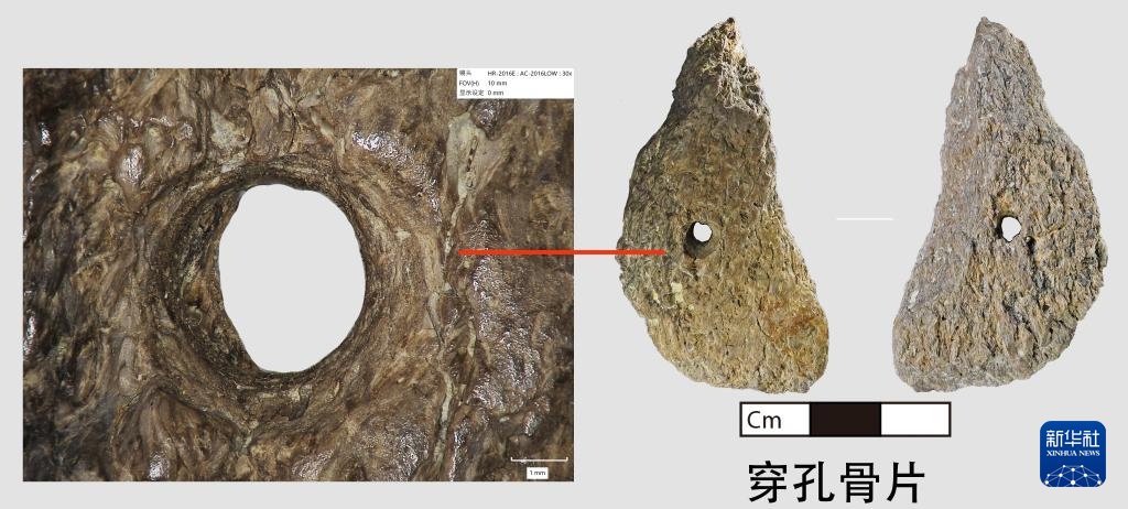 走近四川资阳濛溪河遗址群 走近四川资阳濛溪河遗址群