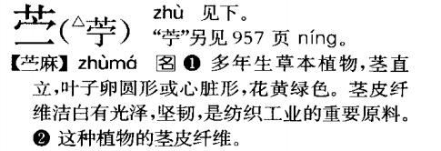 盘点那些被读错的植物 | 槿麻、苎麻、苘麻:没有更难认,只有最难认! 盘点那些被读错的植物 | 槿麻、苎麻、苘麻:没有更难认,只有最难认!