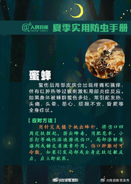 转发提醒！遇到“夺命虫”这样处理