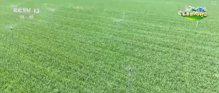 种子穿上“防护服”、土地“喝水恰到好” “智慧”春耕显身手夯实丰收基础