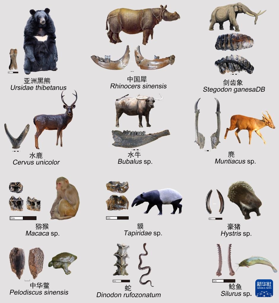 走近四川资阳濛溪河遗址群 走近四川资阳濛溪河遗址群