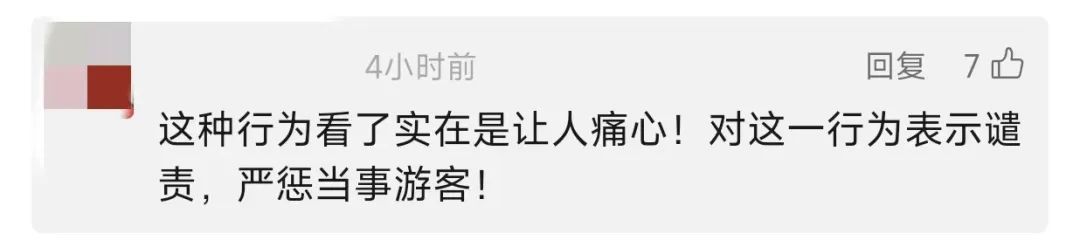 “世界第一”的知名景点被刻“到此一游”！网友：好心疼！