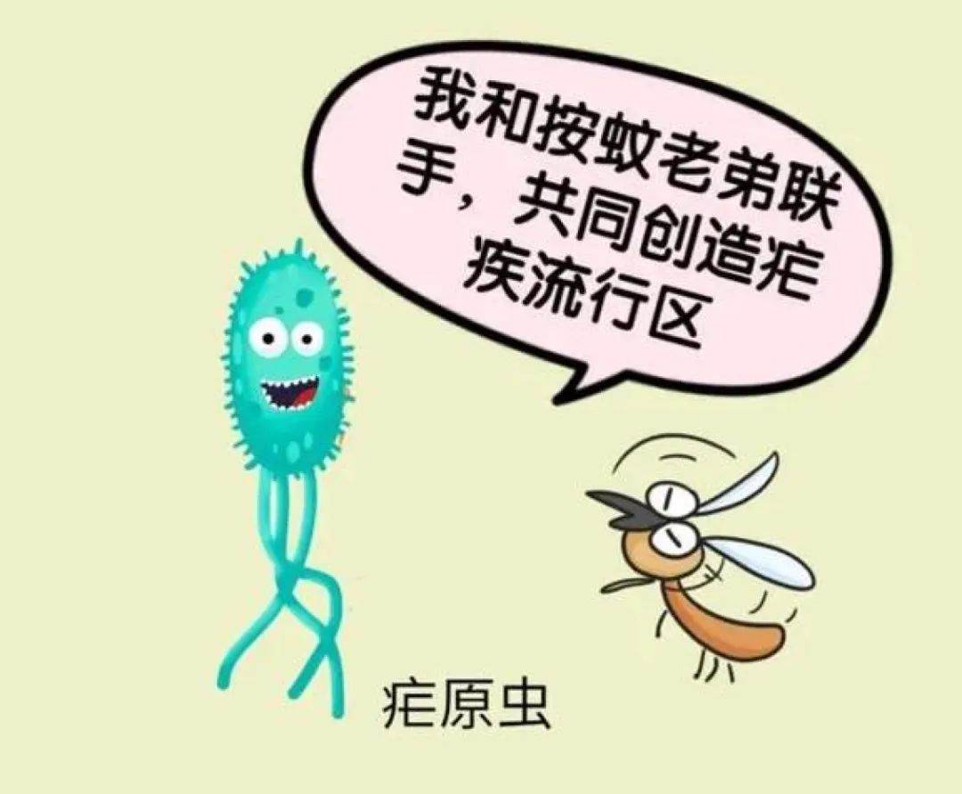 奇了！这个传染病，在国内竟然是由人传染给蚊子……