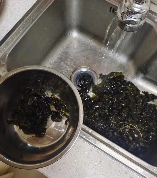 雨后大量出现,出门就能捡!很多杭州人爱吃!提醒来了 雨后大量出现,出门就能捡!很多杭州人爱吃!提醒来了