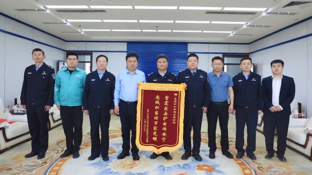 造成损失超100万，“电池大盗”专偷“电网”难逃“法网”！