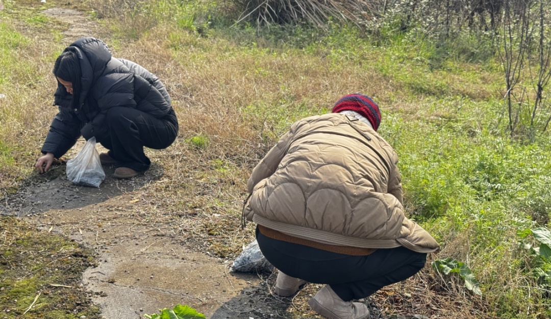 雨后大量出现,出门就能捡!很多杭州人爱吃!提醒来了 雨后大量出现,出门就能捡!很多杭州人爱吃!提醒来了