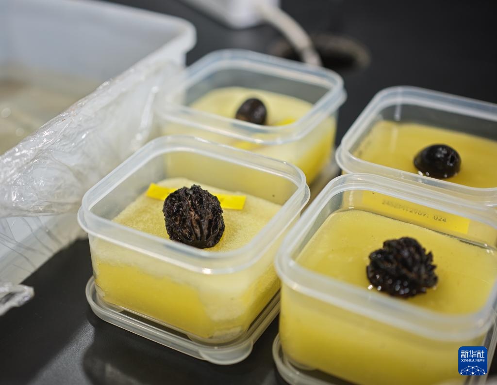 走近四川资阳濛溪河遗址群 走近四川资阳濛溪河遗址群