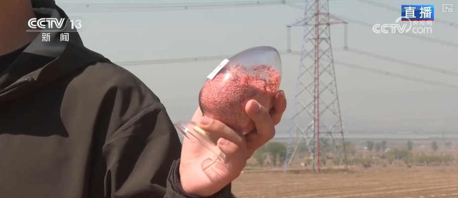 种子穿上“防护服”、土地“喝水恰到好” “智慧”春耕显身手夯实丰收基础