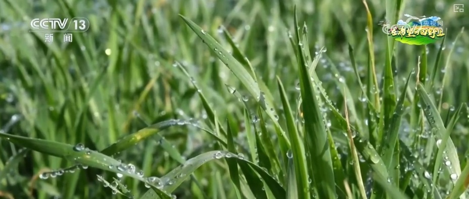 种子穿上“防护服”、土地“喝水恰到好” “智慧”春耕显身手夯实丰收基础