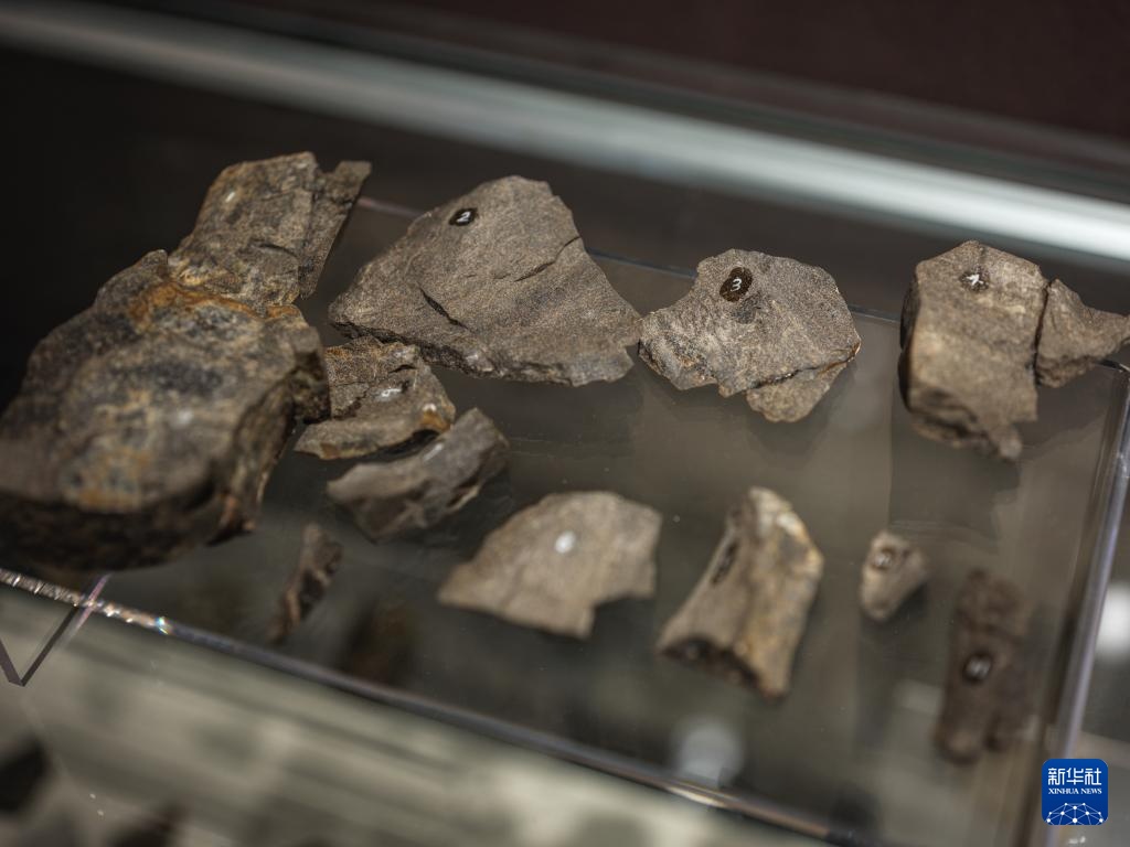 走近四川资阳濛溪河遗址群 走近四川资阳濛溪河遗址群