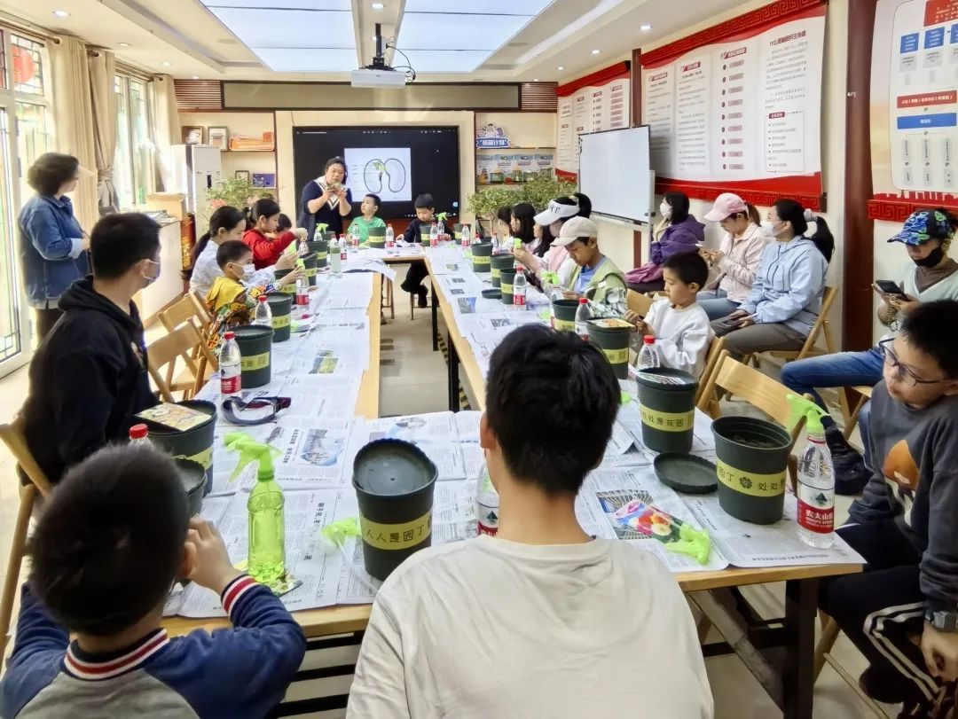 看“小新安”志愿之花在四月天绚丽绽放