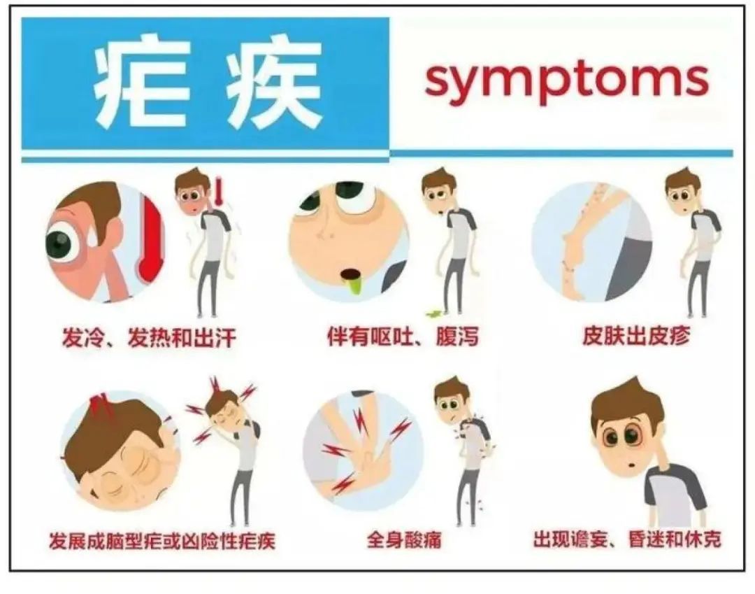 奇了！这个传染病，在国内竟然是由人传染给蚊子……